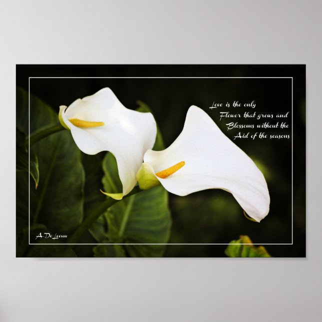 Love is the only flower poster (Front)