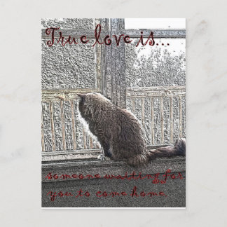 love is waiting postcard