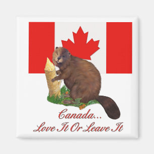 Love It or Leave It Magnet