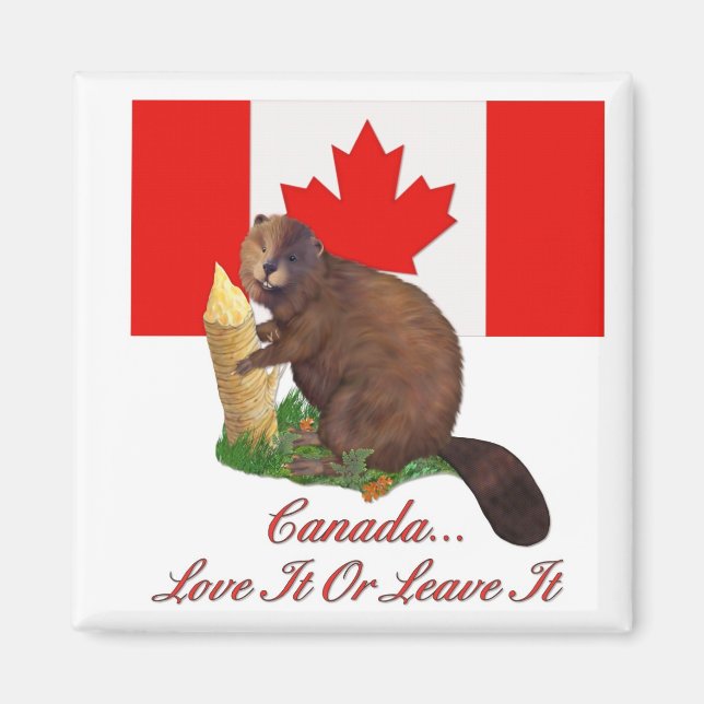 Love It or Leave It Magnet (Front)