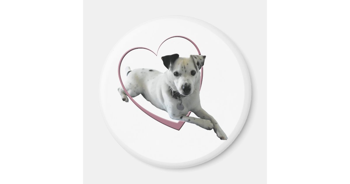 Love Jack Russell Dog Gifts Zazzle.co.uk
