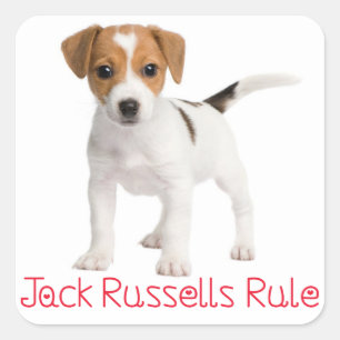 Love Jack Russell Terrier Puppy Dog Sticker / Seal