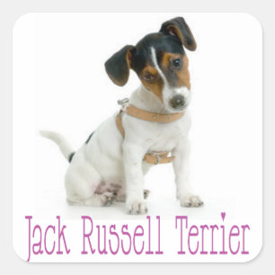 Love Jack Russell Terrier Puppy Dog Sticker / Seal