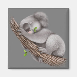 Love Koala Bears Magnet