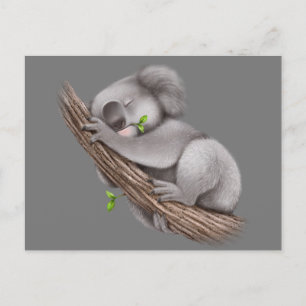 Love Koala Bears   Postcard