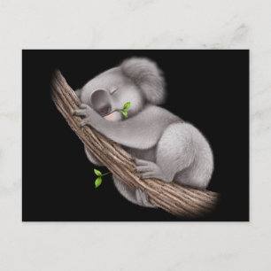 Love Koala Bears   Postcard