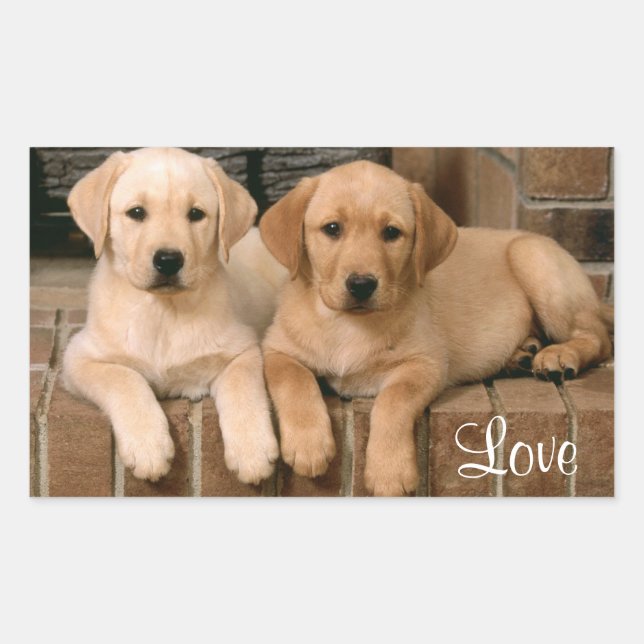Love Labrador Retriever Puppies Sticker (Front)