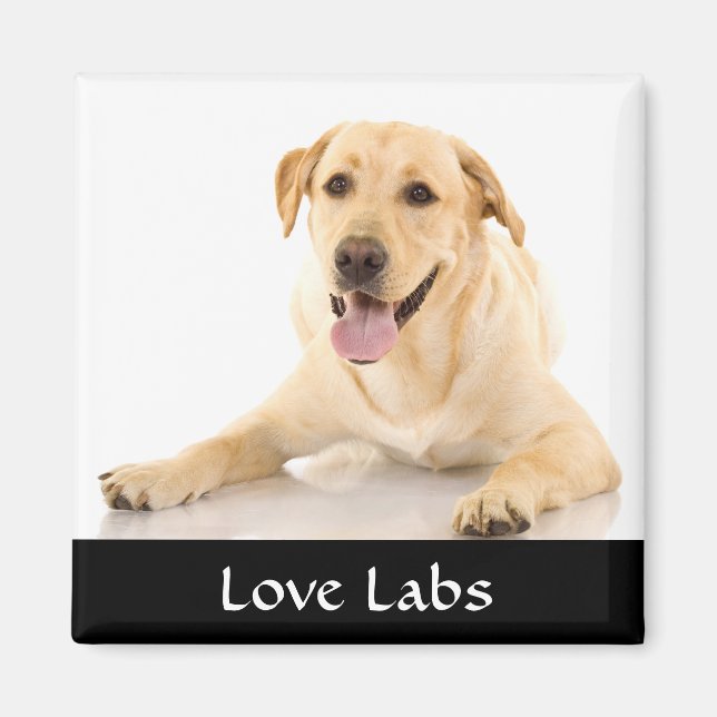 Love Labs "Yellow Labrador Retreiver"  Magnet (Front)