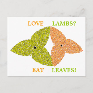 Love Lambs Eat Leaves Pro Vegetarian Postcard