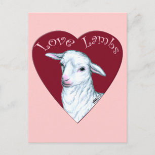 Love Lambs Postcard