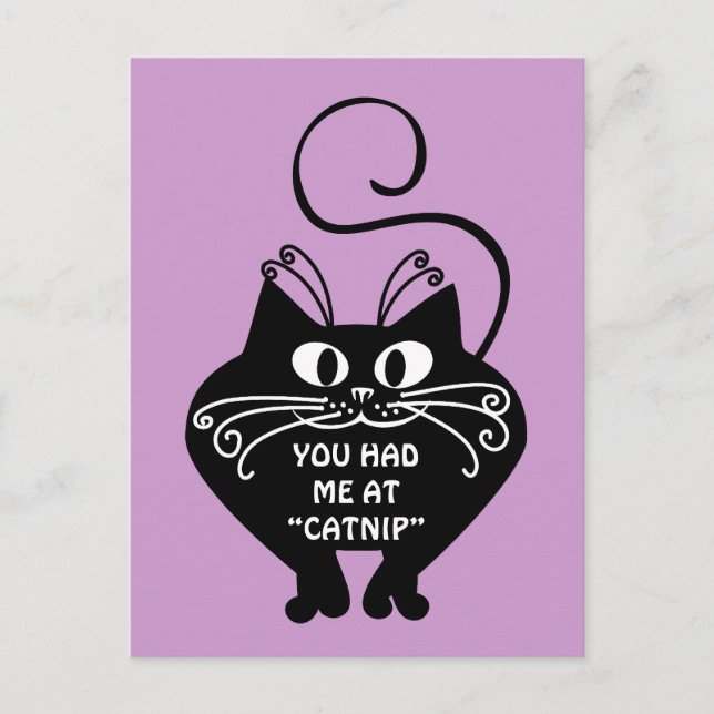 Love letter from my cat: you can buy my love postcard (Front)