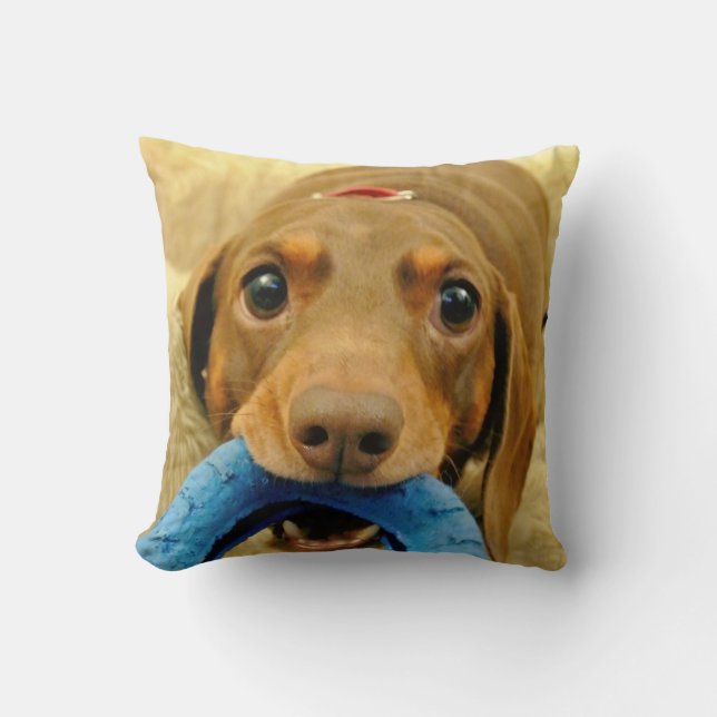 LOVE & LICKS Pluto chewing toy cream Cushion (Front)