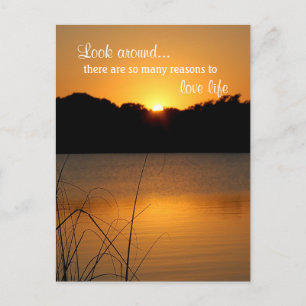 Love Life Appreciate Inspiration Motivation Quote Postcard