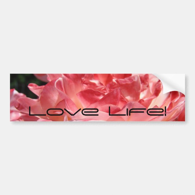 Love Life! bumper sticker Pink Summer Rose Flower (Front)