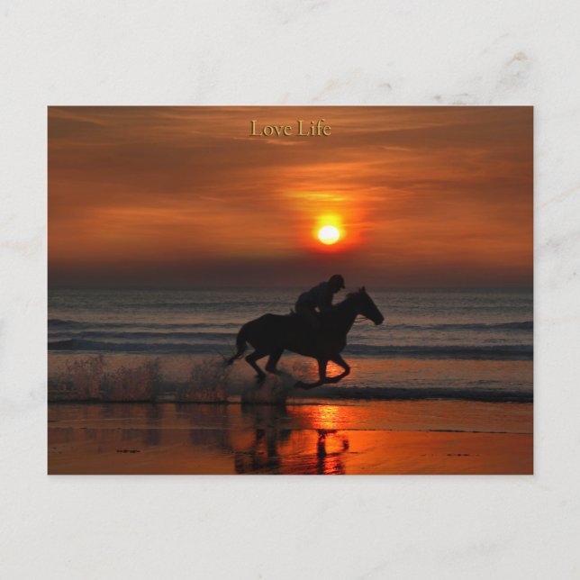 love life postcard (Front)