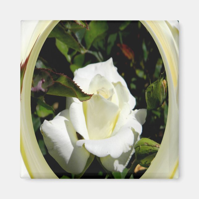 Love&Light.... Magnet (Front)