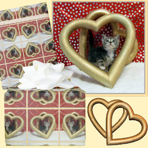 Love, Lilo - Adorable Cat / Kitten Wrapping Paper