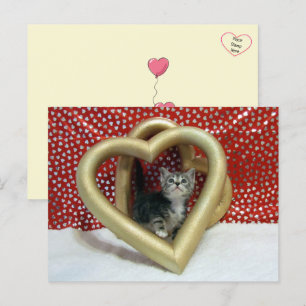 Love, Lilo - Cat / Kitten Heart Postcard