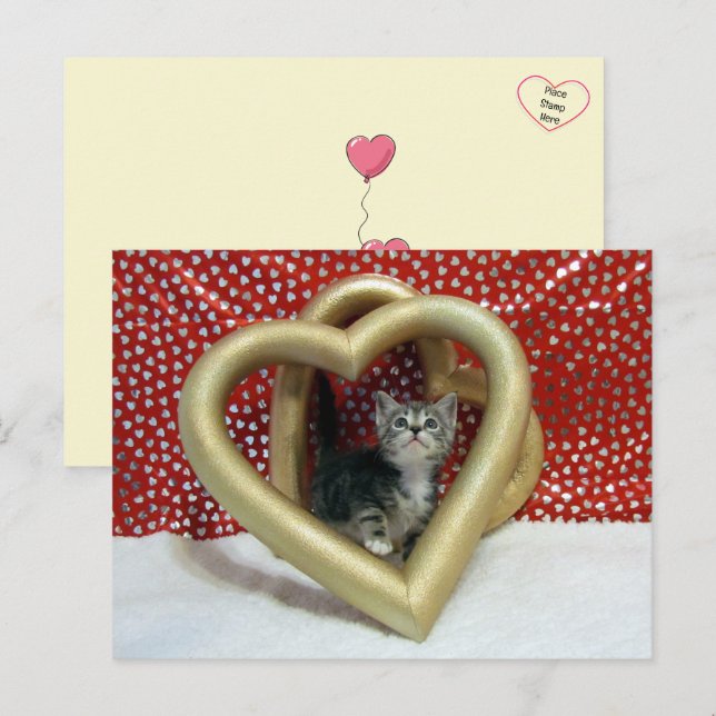 Love, Lilo - Cat / Kitten Heart Postcard (Front/Back)
