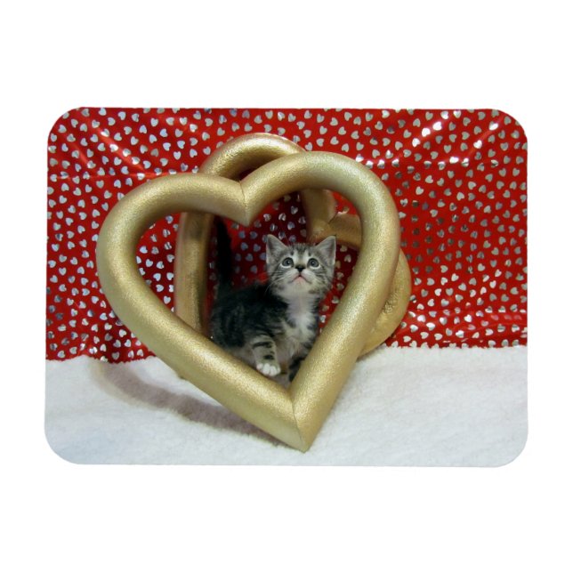 Love, Lilo - Heart Cat / Kitten Magnet (Horizontal)
