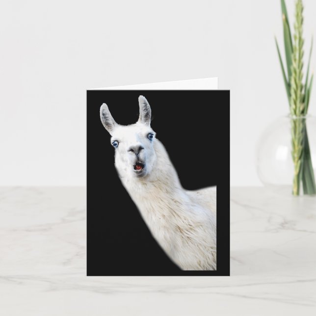 Love Llama Women Shirt Llama Lovers For Kids And G Card (Front)