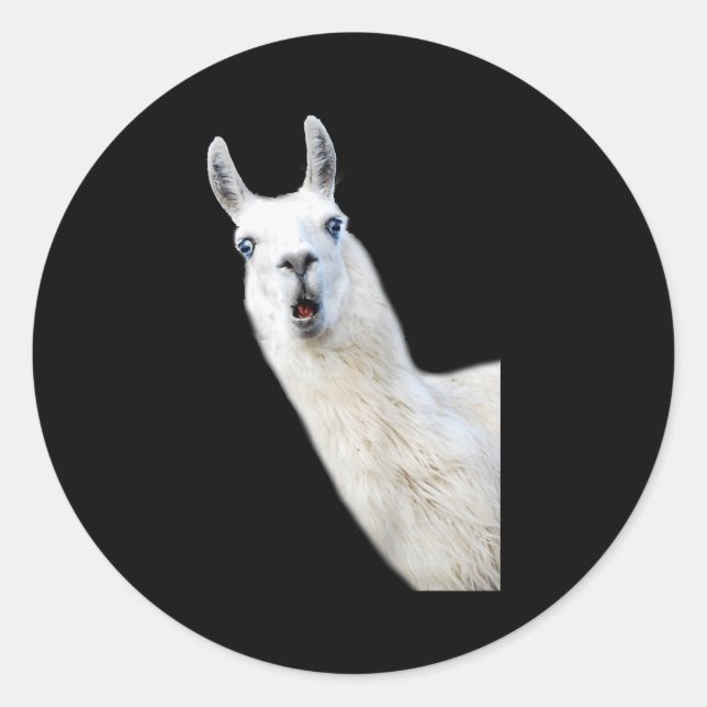 Love Llama Women Shirt Llama Lovers For Kids And G Classic Round Sticker (Front)