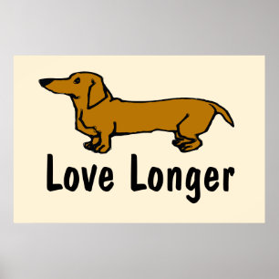 Love Longer, Dachshund, Poster