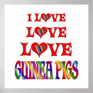 Love Love Guinea Pigs Poster
