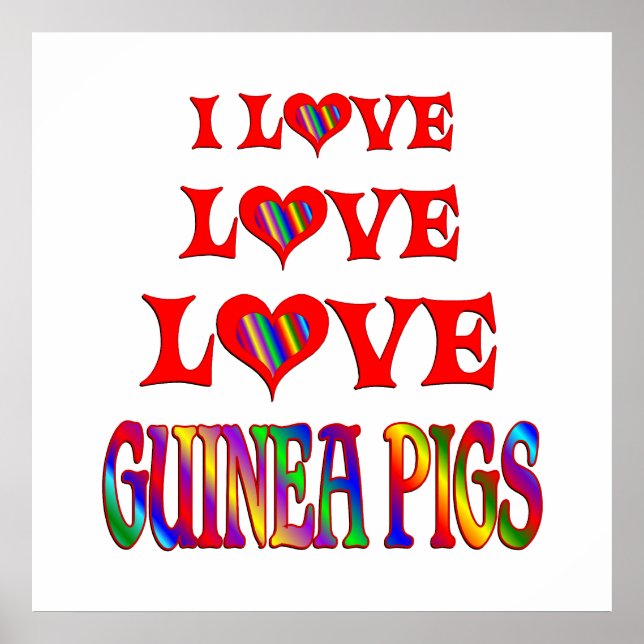 Love Love Guinea Pigs Poster (Front)