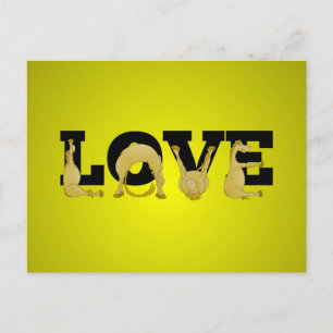 LOVE made by a very flexible pony Postcard