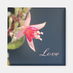Love Magnet