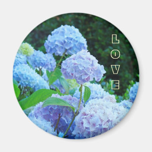 LOVE magnet Blue Pink Hydrangea Garden Mum