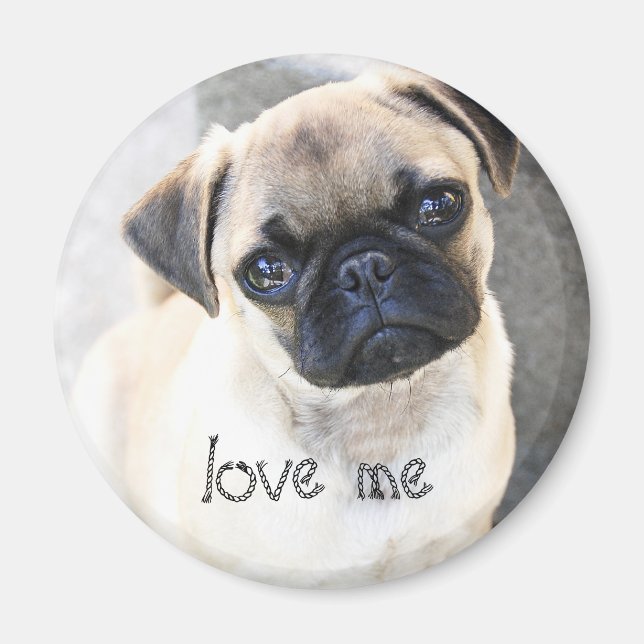 love me - cute mops magnet (Front)