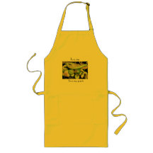 Love Me Love My Gourds Apron--for the gourd lover!