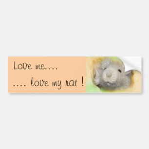 Love me..love my rat bumper sticker