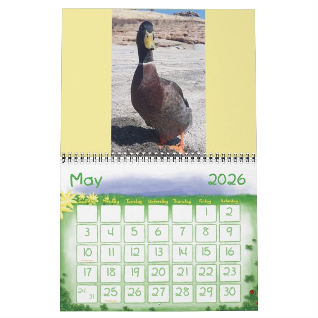 Love me some Nibbles 2019 Calendar (May 2026)