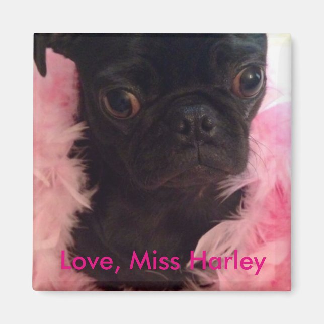 Love, Miss Harley Magnet (Front)
