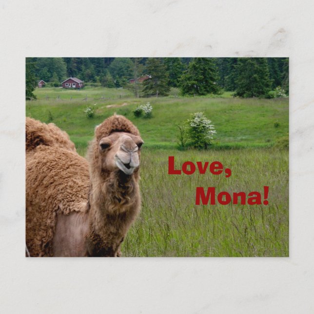 Love, Mona postcard (Front)