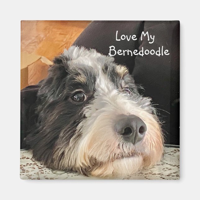 Love My Bernedoodle Magnet (Front)