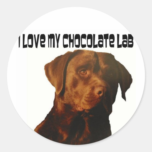 love my chocolate lab stickers (Front)