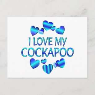 Love My Cockapoo Postcard