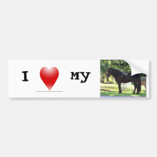 Love my Dales Pony bumpersticker Bumper Sticker