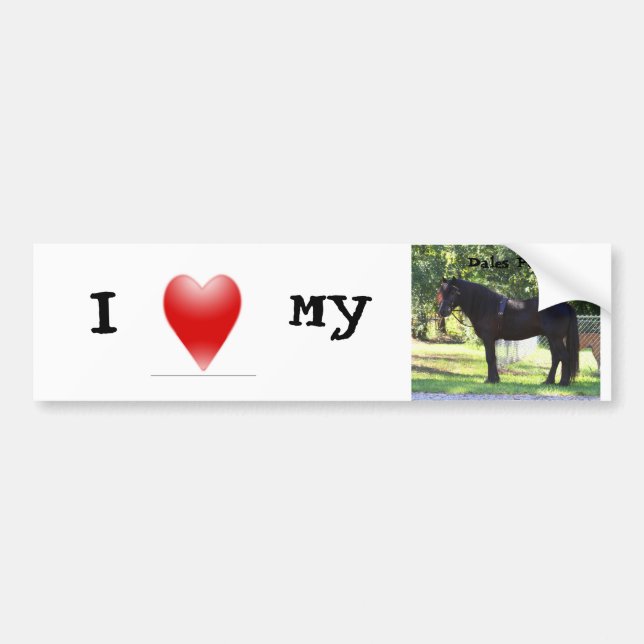 Love my Dales Pony bumpersticker Bumper Sticker (Front)