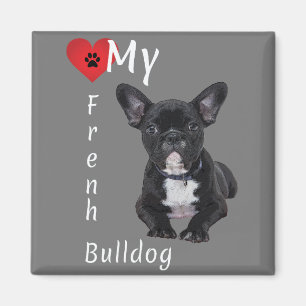 Love My French Bulldog Magnet