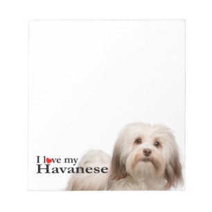 Love My Havanese Notepad