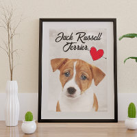 Love My Jack Russell Terrier 