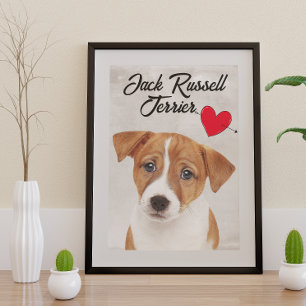 Love My Jack Russell Terrier Poster