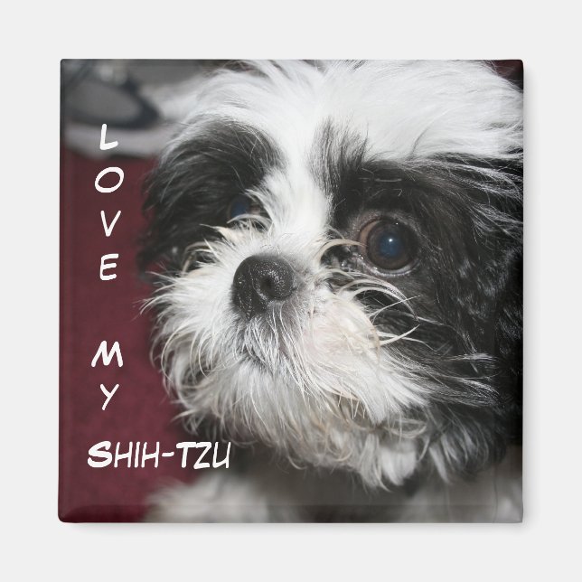 Love My Shih-Tzu Magnet (Front)