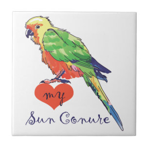 Love My Sun Conure Tile