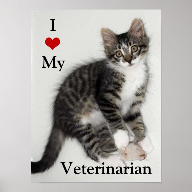Love My Veterinarian Zorro Kitty Poster (Front)